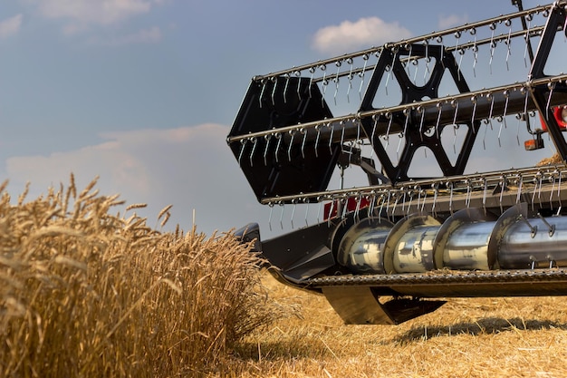 Combine harvesting a wheat field. Combine working the field.