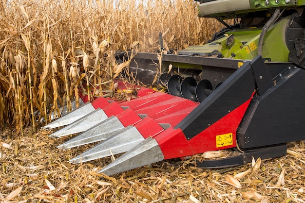 Photo combine red harvester close up working in a corn field during harvest