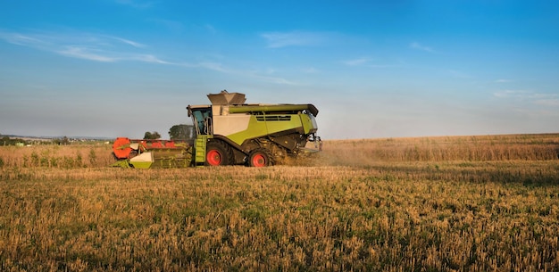 combine with harvester with a cloud of dust and stubble side perspective