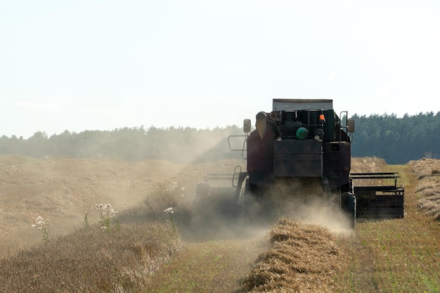 Combineer de oogstmachine tijdens het werken in het veld met tarwe tijdens de oogstcampagne Stof van oogstapparatuur in een landbouwveld Het oogstseizoen van graangewassen