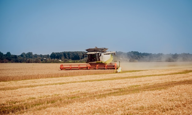 Combineer harvester in actie op tarweveld. proces om een rijp gewas te verzamelen.