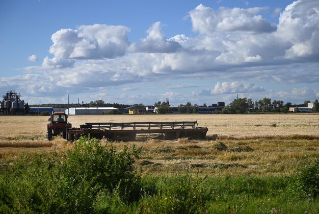 Combineer harvester oogst rijpe tarwe Rijpe oren van goud veld op de zonsondergang bewolkt oranje hemelachtergrond Concept van een rijke oogst Landbouw beeld