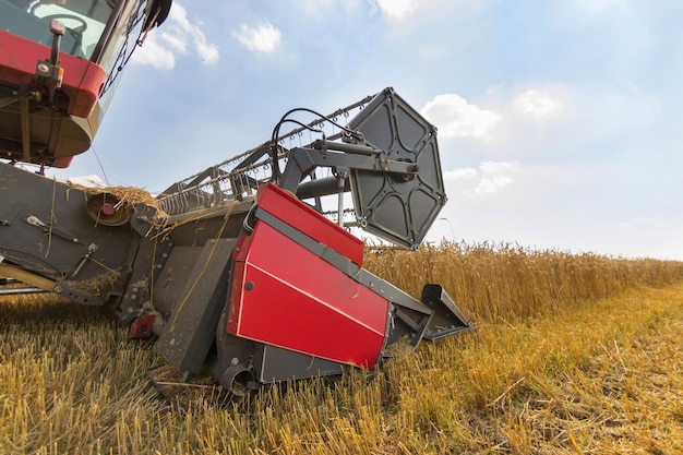 Combineer het oogsten van een tarweveld. Combineer het werken op het veld.