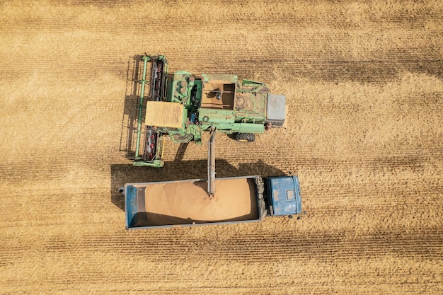 Foto combineer het oogsten van luchtfoto van landbouwmachine die gouden rijpe tarwe verzamelt in vrachtwagen