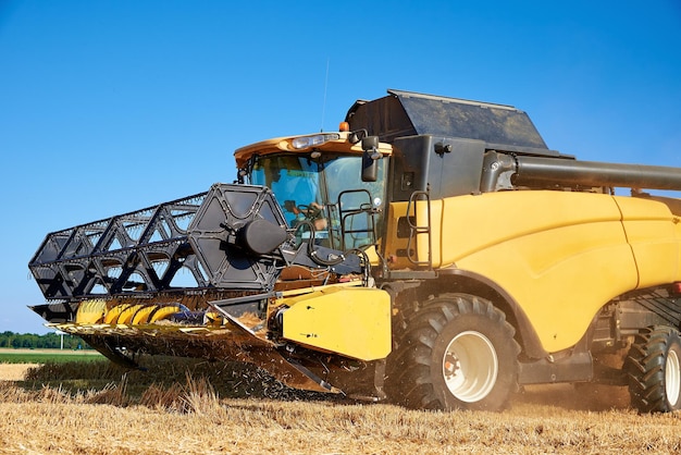 Combineer oogstmachine die gouden tarwegebied oogst. Harvester werken op een agrarisch gebied