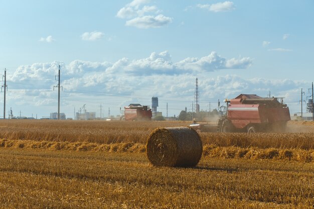 Combineren harvester oogst tarwe op zonnige zomerdag.