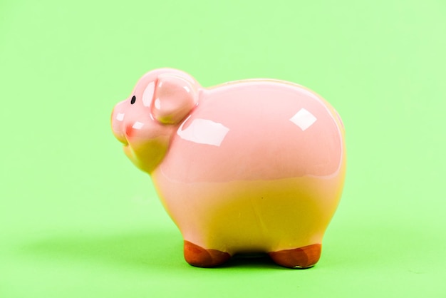 Come to work and get your first salary money saving financial problem income management planning budget piggy bank on green background fat ceramic pig full of money luck and success