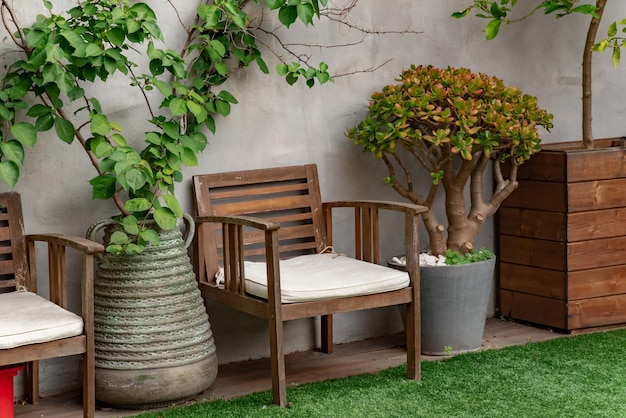 Comfortable chairs in the backyard of a house in greenery