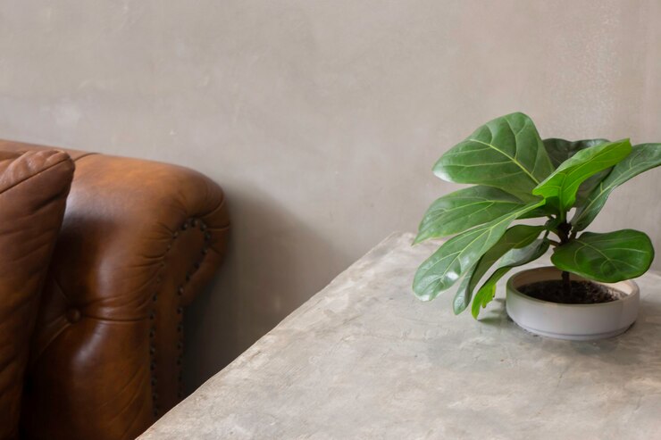 Comfortable co-working space interior with green plant