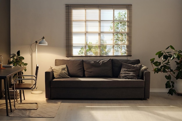 Comfortable couch of dark grey color with group of cushions standing by window