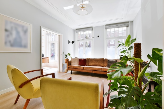 Comfortable leather sofa and colorful armchairs with monstera plant in light living room with ornamental ceiling