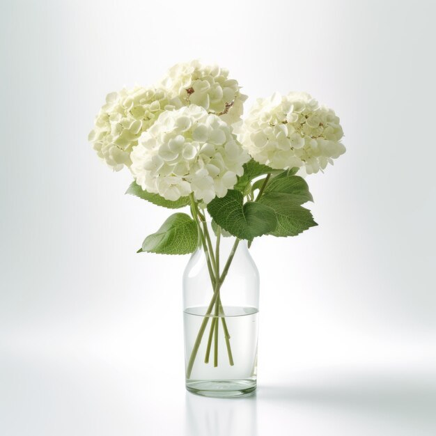 Commercial Photography Of Realistic Hydrangea On White Table In