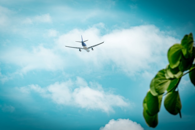 Commerciële luchtvaartmaatschappij. Het passagiersvliegtuig stijgt op luchthaven met mooie blauwe hemel op
