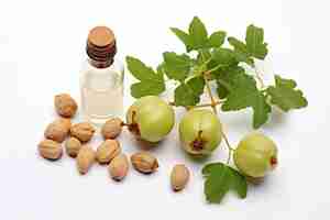 Photo commiphora myrrha essential oil and fresh fruits