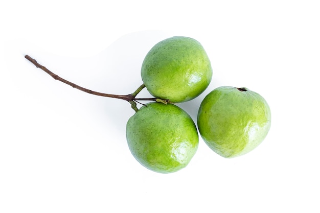 Common guava fruit isolated on a white background