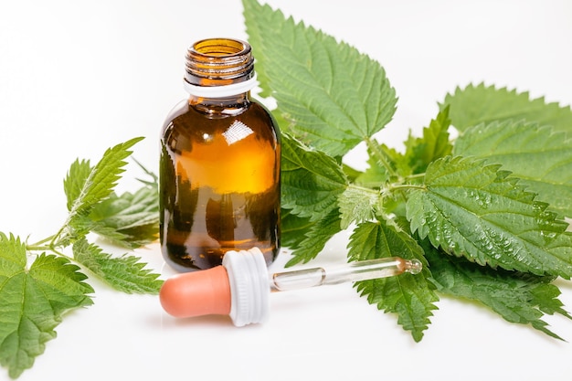 Common or Stinging Nettle Urtica dioica small plant macro Nettle essence oil in a small bottle