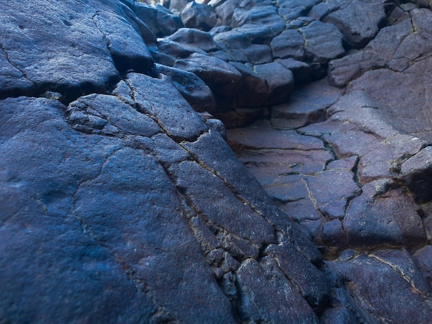 Commond big stones texture on craspedia under the sunlight on a river leaf with a blurry free photo