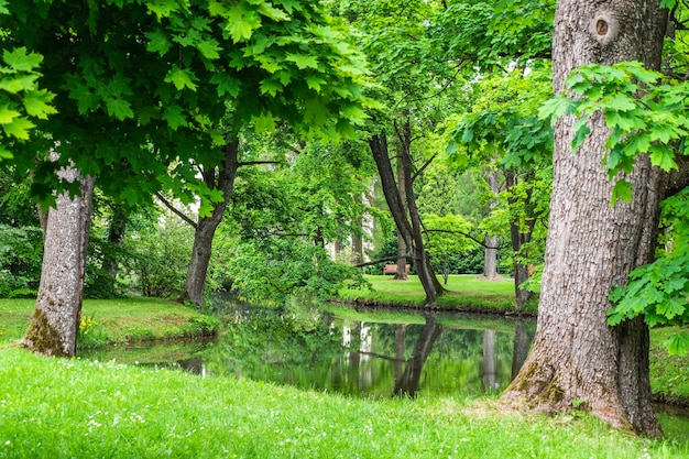 Community Recreation area, City Park with Lake Artificial.