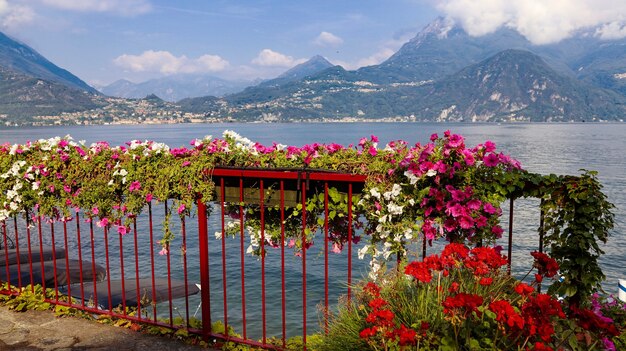 Como lake panoramic view