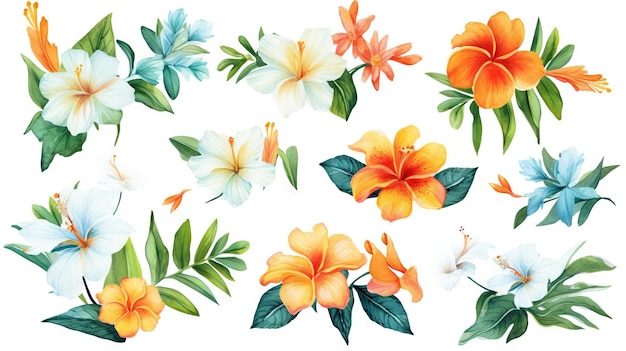 Comoros Flowers Collection Set on a Clean White Background with Sharp Lines Generative AI