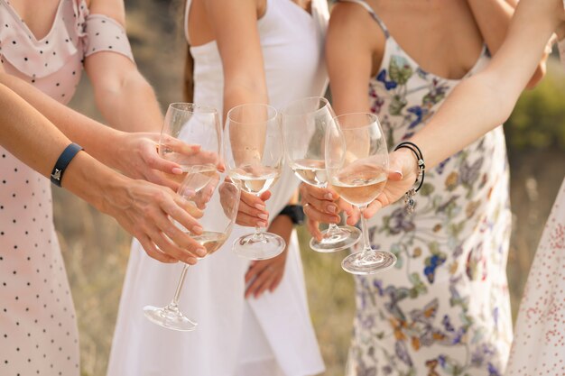 The company of female friends enjoys a summer picnic and raise glasses with wine