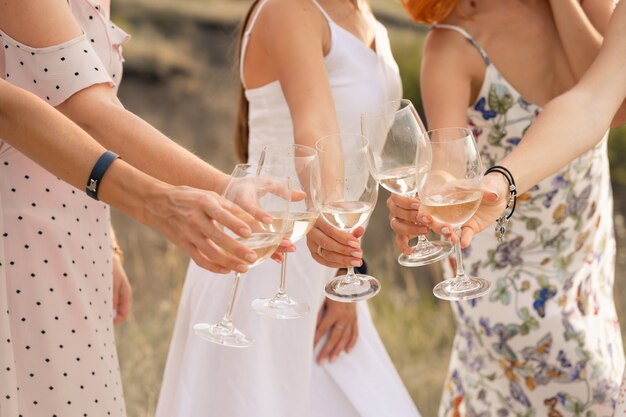 the company of female friends enjoys a summer picnic and raise glasses with wine