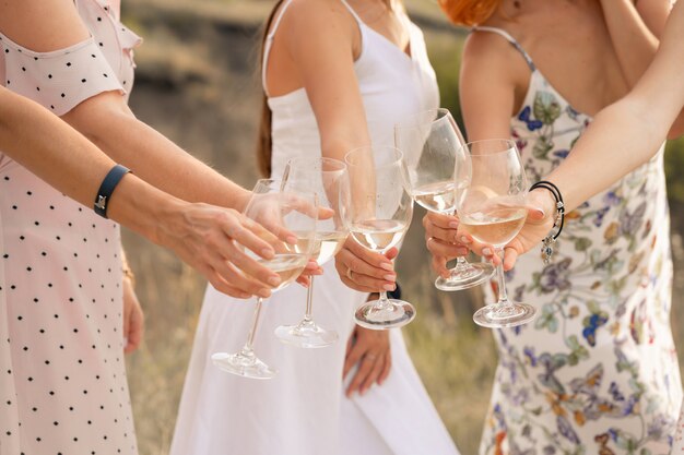 The company of female friends enjoys a summer picnic and raise glasses with wine