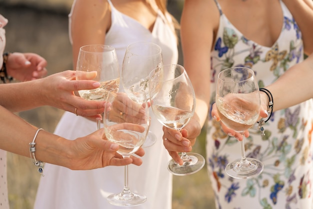 The company of female friends enjoys a summer picnic and raise glasses with wine