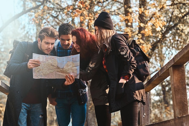 Company of old friends get lost in forests, they use a map to try to understand where they are.