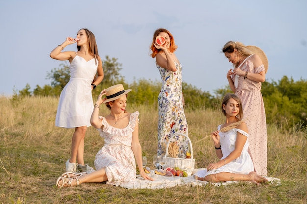 The company of stylish happy female friends having fun on outdoor retro style picnic party