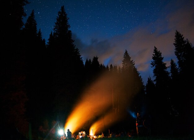 The company of young people are sitting around the bonfire and singing songs.