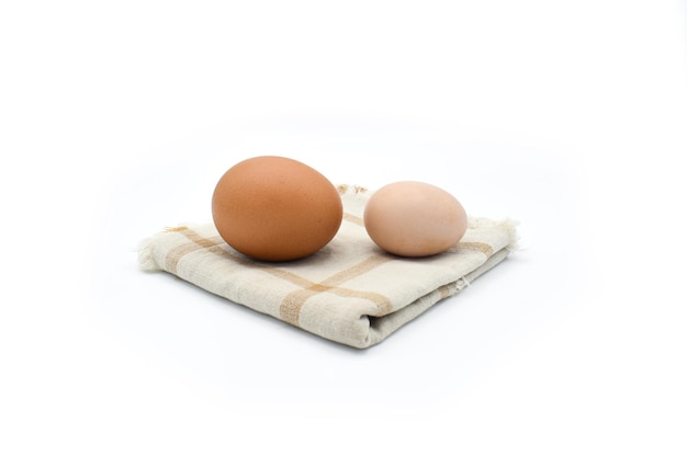 Comparing standard chicken egg and bantam egg