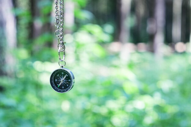 Compass on the background of greenery in the forest