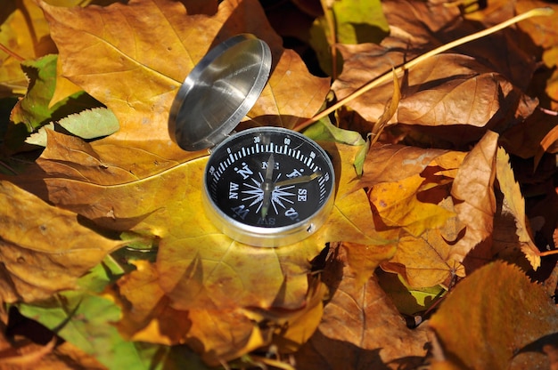 Compass on fallen leaves