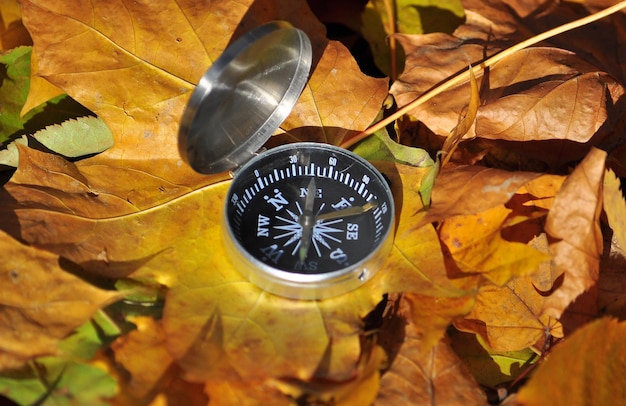 Compass on fallen leaves