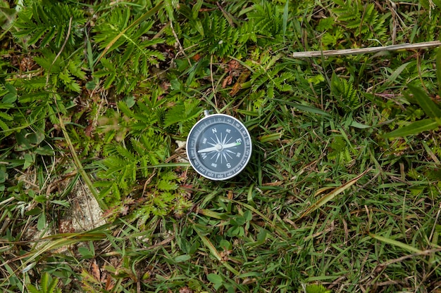 Compass in the green grass