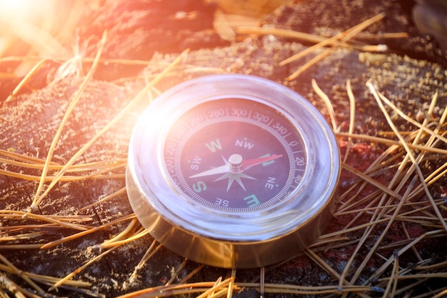 Compass on stump and on pine needles in forest