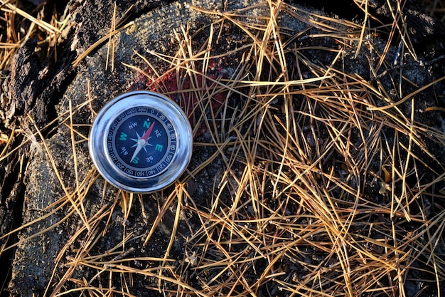 Compass on stump and on pine needles in forest