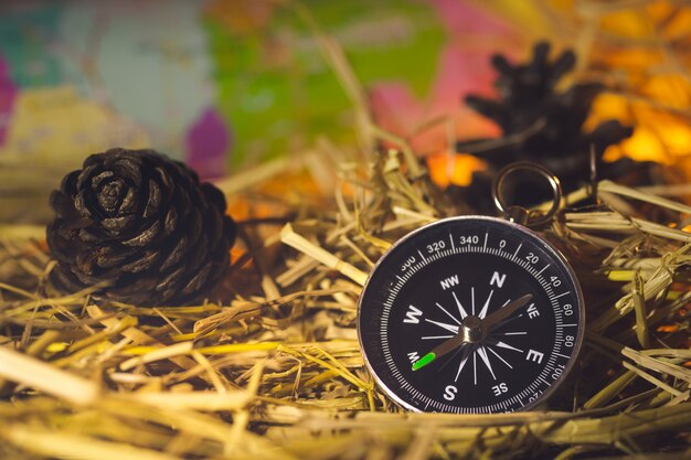 Compass with paper maps and pine flowers placed on dry wheat straw in morning sunlight. 