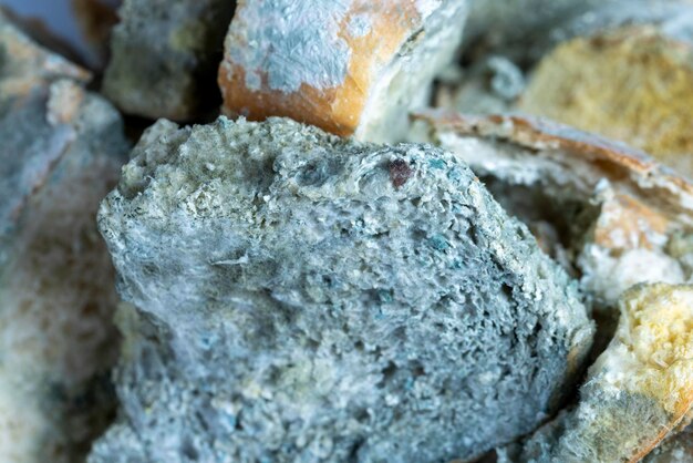 Photo completely spoiled and moldcovered bread on the table