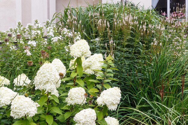 Complex flower bed of perennial plants in the city park. Druskininkai, Lithuania.