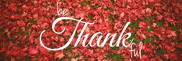 Foto immagine composita dell'immagine digitale del saluto del testo del giorno del ringraziamento felice