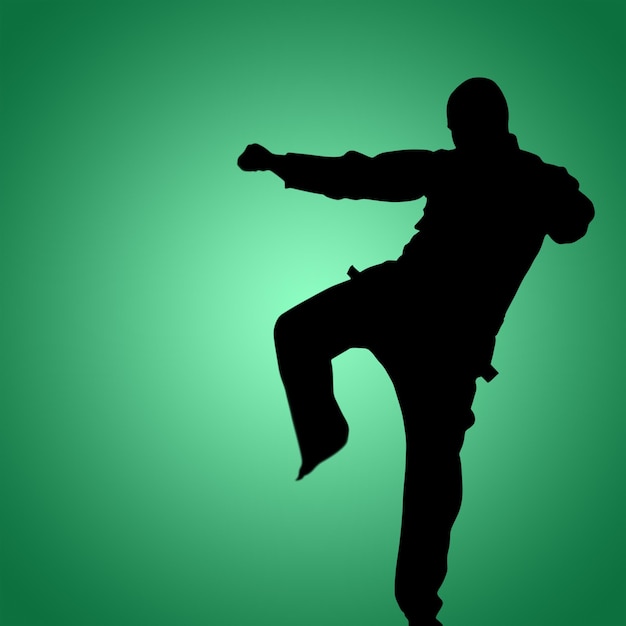 Composite image of fighter performing karate stance