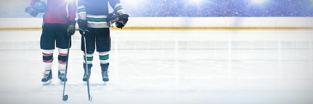 Составное изображение хоккея