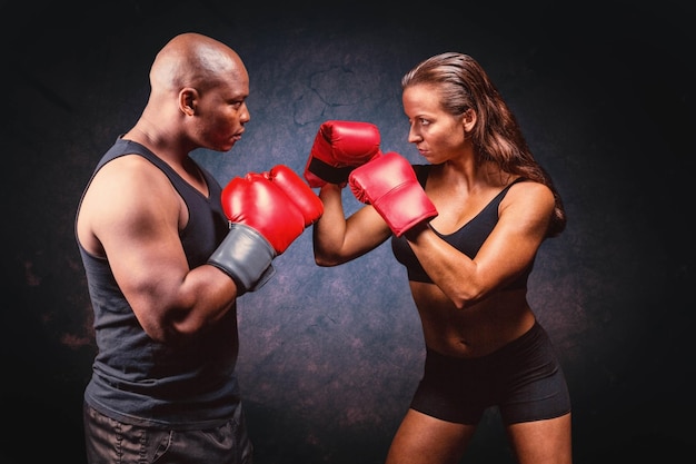 Foto immagine composita del pugile maschio e femmina con posizione di combattimento