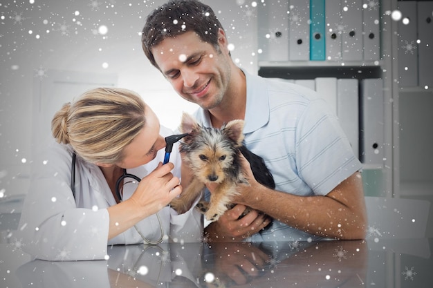 Foto immagine composita del veterinario che esamina l'orecchio del cucciolo contro la neve
