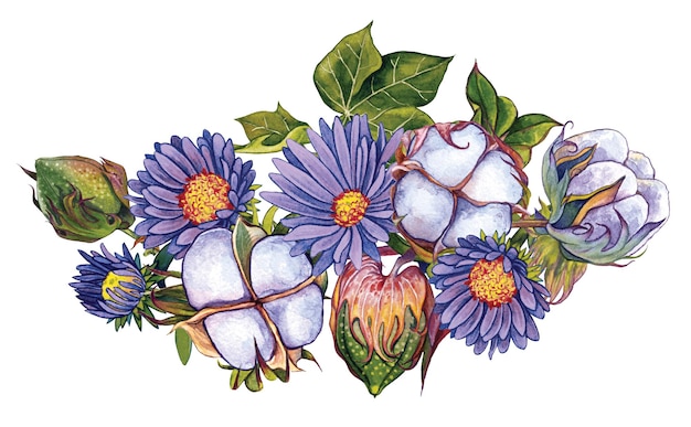 composition of asters and cotton flowers watercolor illustration