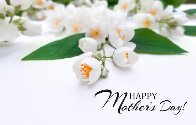 Composition of blooming jasmine. green leaves with beautiful
flowers on white background. inscription happy mother's day.
banner, poster for mother's day. flat lay, side view, close up,
copy space