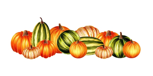 Composition of colorful pumpkins on white _ hand drawn marker illustration in watercolor technique