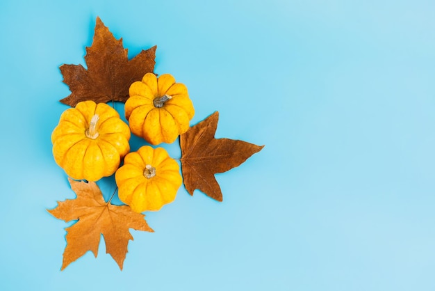 Foto composizione di diverse varietà di zucca stagione autunno autunno raccolto felice ringraziamento halloween